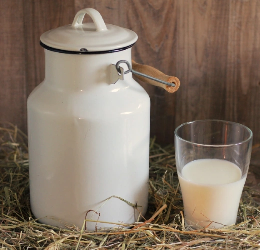 Organic Farm Fresh Milk (1)