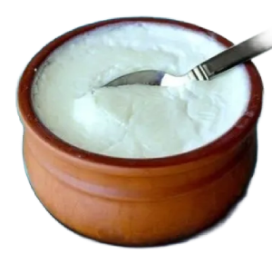 dahi